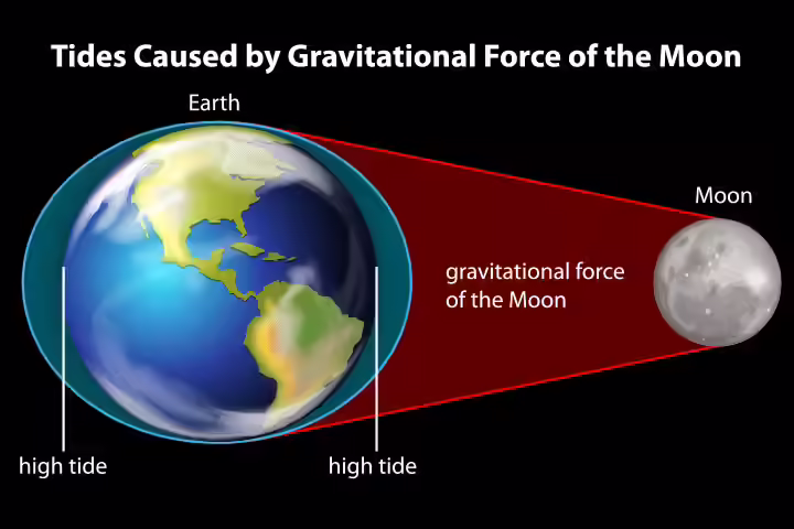 Importance Of Gravity In Our Life