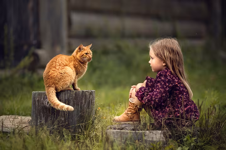 Interesting Information And Facts About Cats For Kids