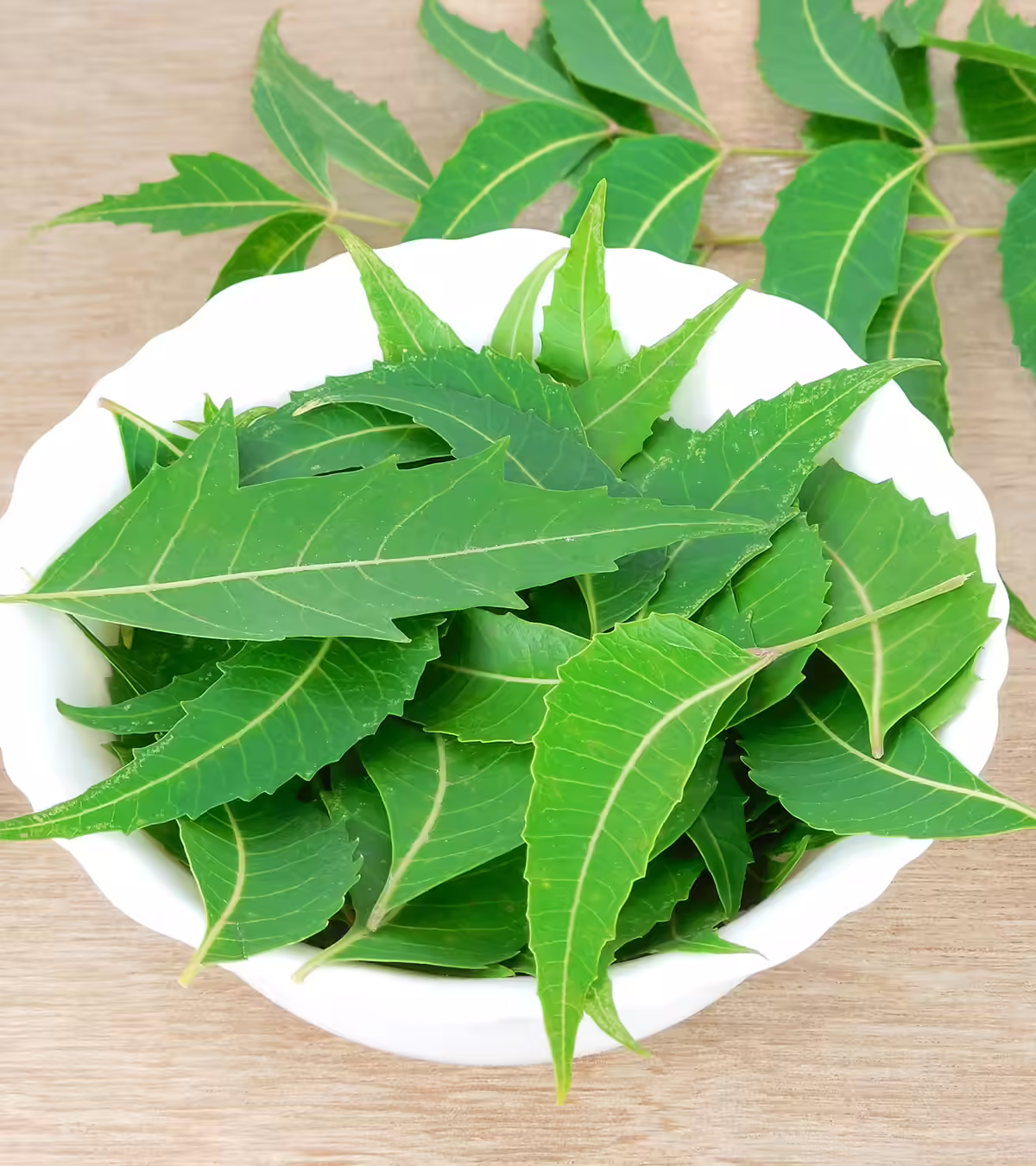 Neem During Pregnancy In Hindi