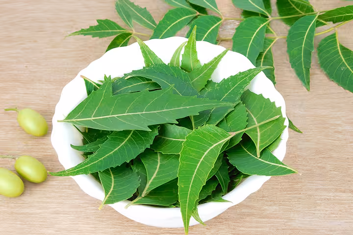 Neem During Pregnancy In Hindi