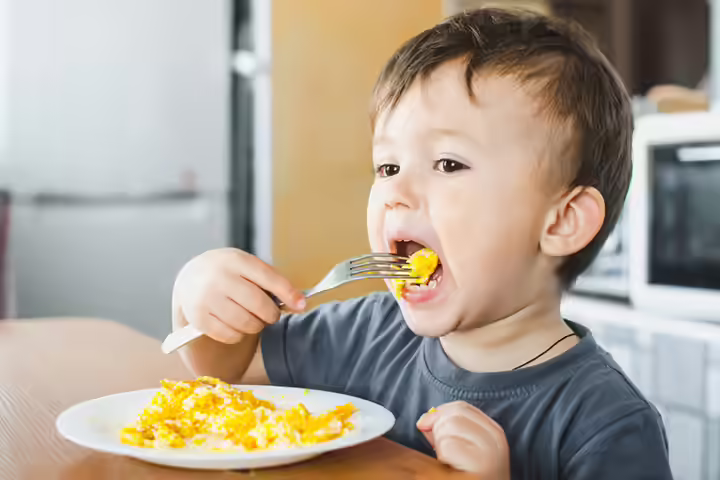Leptin Rich Foods - Protein