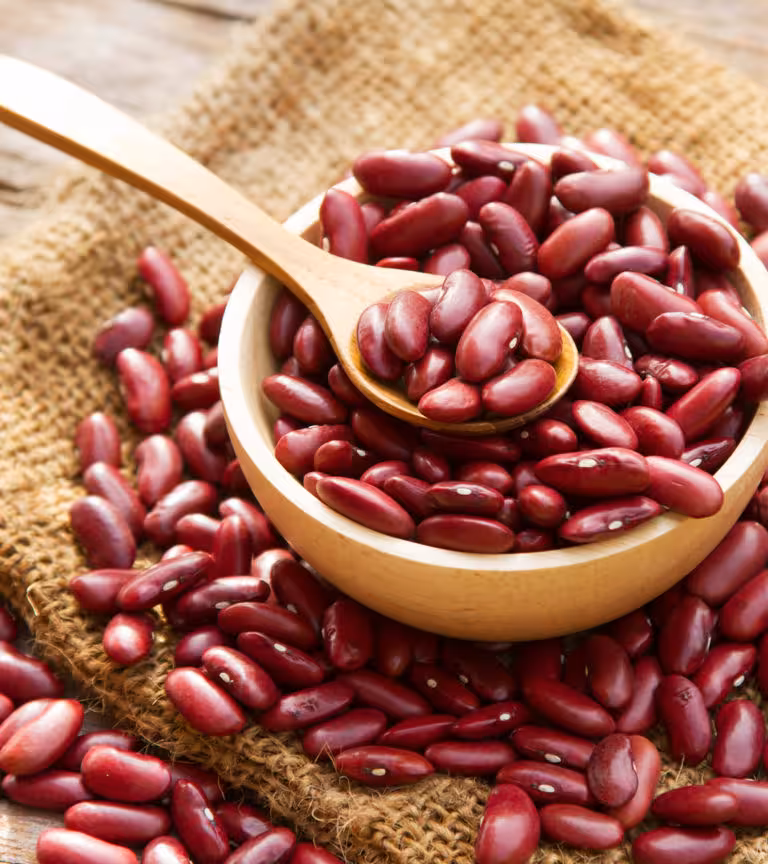 Rajma During Pregnancy In Hindi
