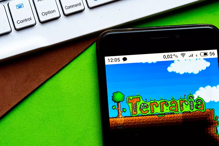 Terraria online game for kids