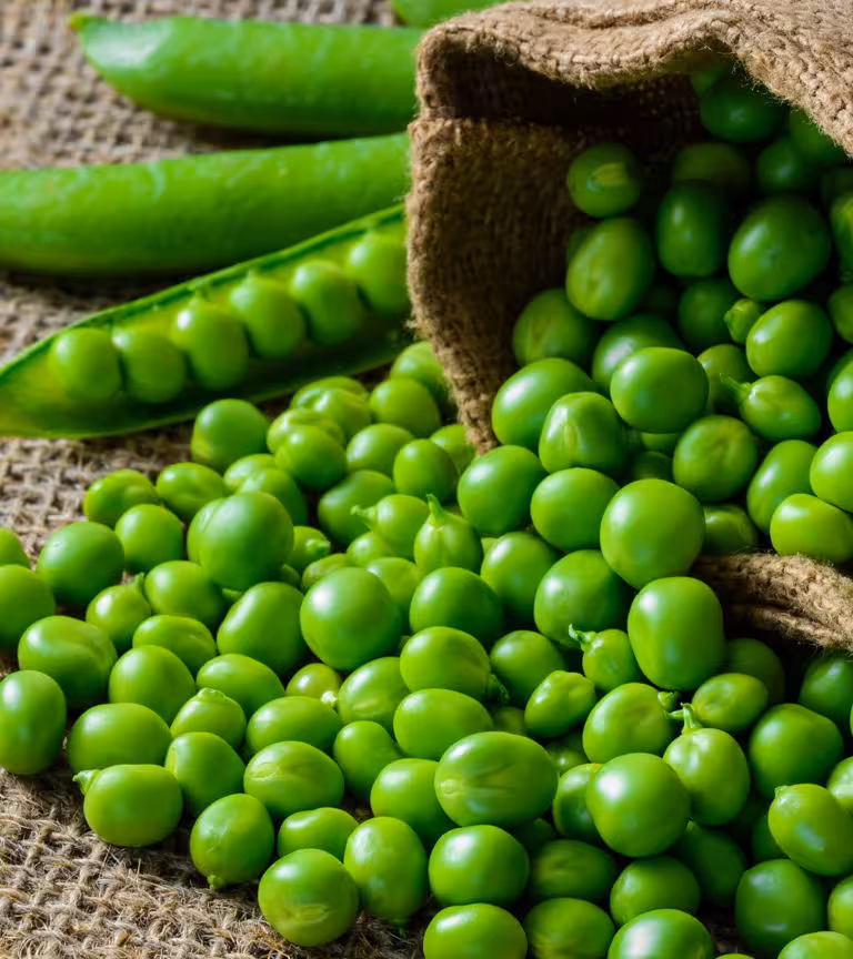 बच्चों को मटर खिलाने के फायदे व रेसिपी Peas Benefits For Babies In Hindi