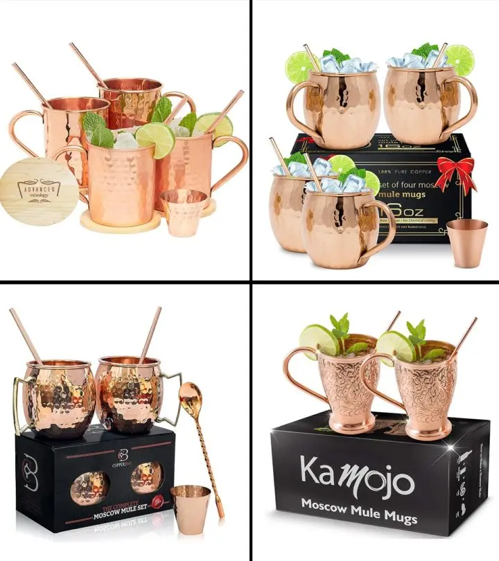 15 Best Moscow Mule Mugs To Buy In 2021