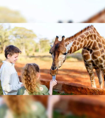 33 Informative And Fun Facts About Giraffes For Kids