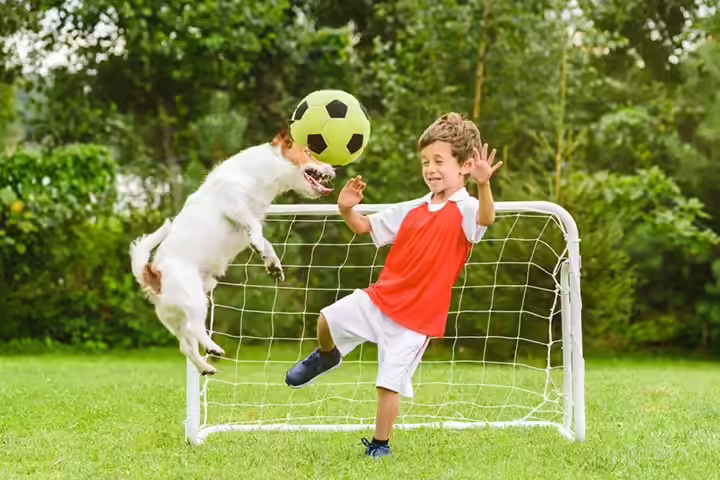Backyard soccer ground idea for kids Backyard soccer ground idea for kids