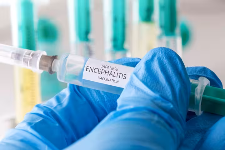 Encephalitis In Children Types, Causes, Symptoms, And Treatment