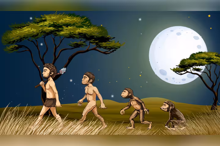 Evolution For Kids Definition, Timeline, Facts, And Information