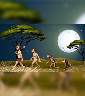 Evolution For Kids Definition, Timeline, Facts, And Information