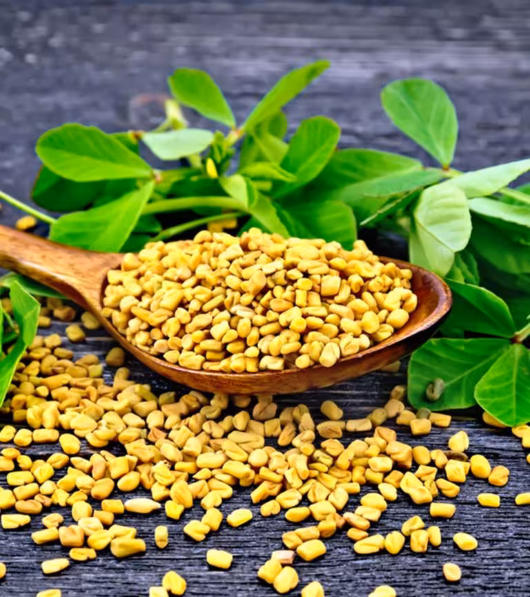 Fenugreek when Breastfeeding Does It Help With Lactation