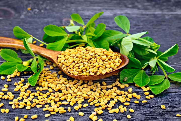 Fenugreek when Breastfeeding Does It Help With Lactation