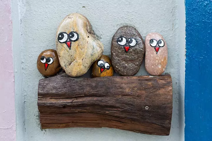 Pet rocks