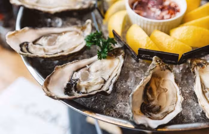 Oysters