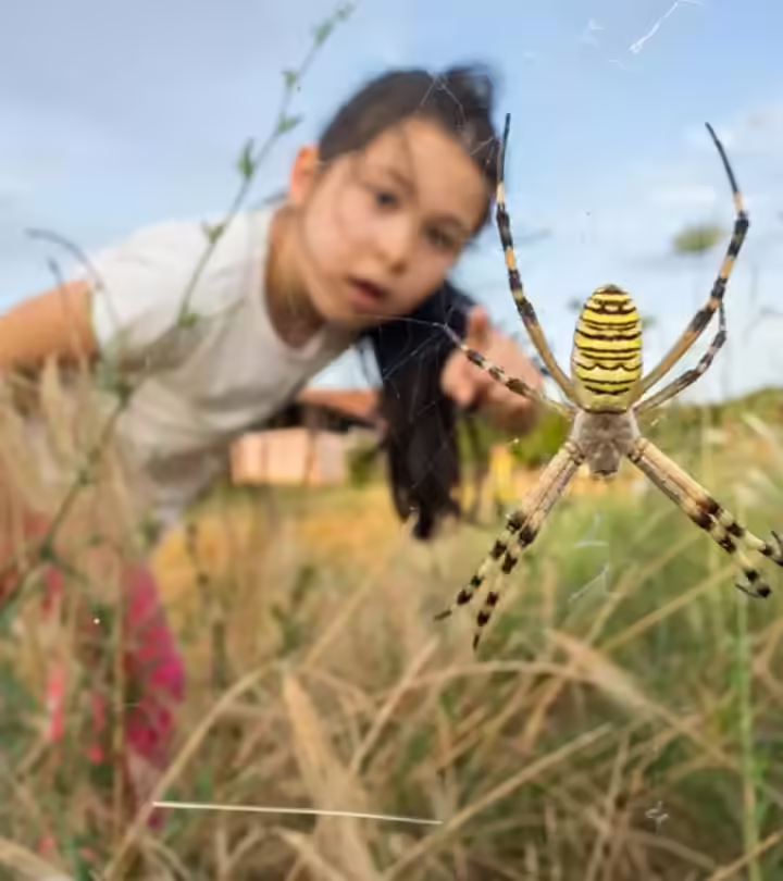 Spider Bites On Children: Symptoms, Treatment And Home Remedies