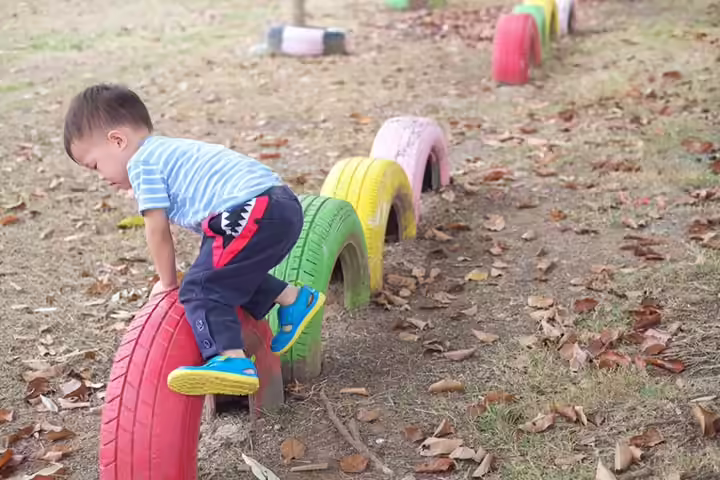 Balancing tires backyard idea for kids Balancing tires backyard idea for kids
