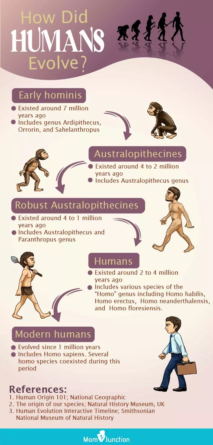 how did humans evolve [infographic]