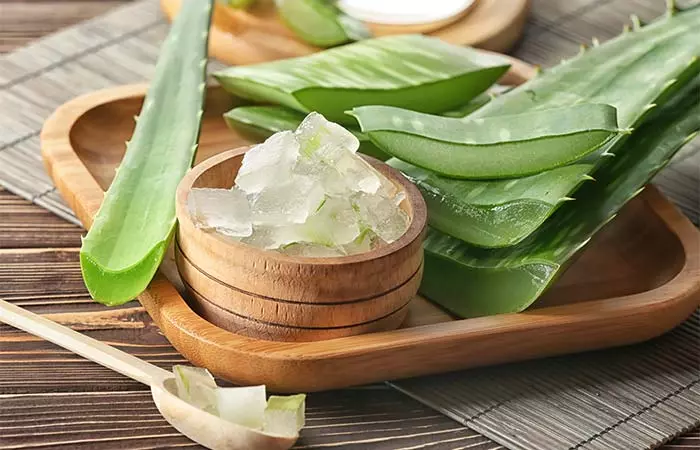 Aloe Vera