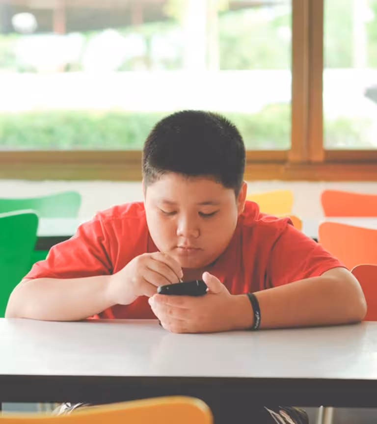 Childhood Obesity In Hindi