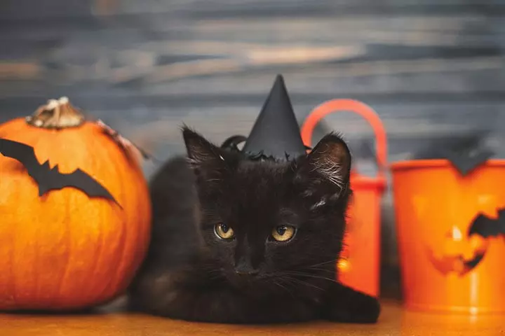 8 Awesome DIY Halloween Decorations And Ideas 