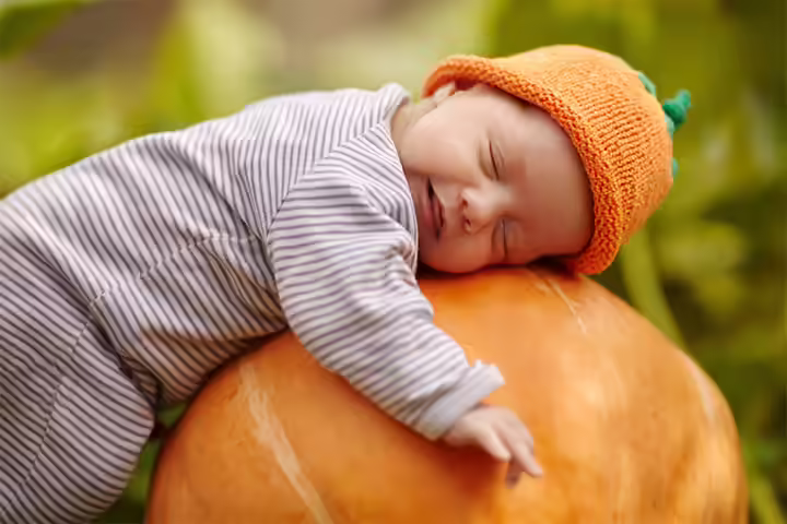 Cute little sleeping baby in a pumpkin pictures Cute little sleeping baby in a pumpkin pictures