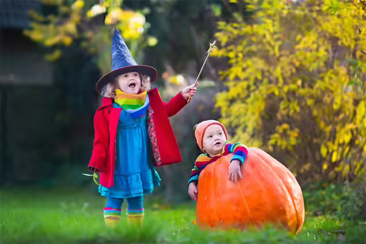 Elder sibling with baby in a pumpkin pictures Elder sibling with baby in a pumpkin pictures