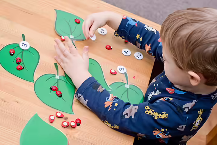 Ladybirds In A Leaf math activity for preschoolers Ladybirds In A Leaf math activity for preschoolers
