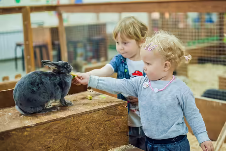 Petting zoo toddler birthday party ideas