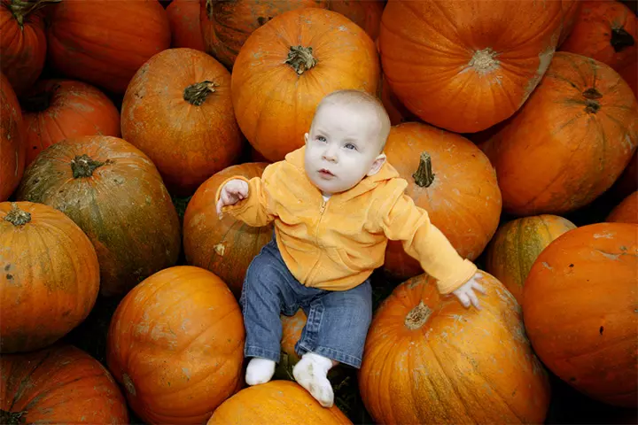 Well dressed baby in a pumpkin pictures