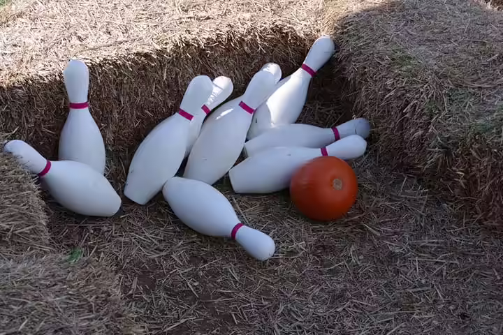 Pumpkin Bowling Alley