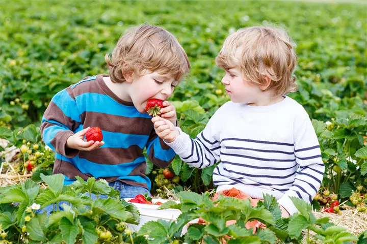 Strawberry picking toddler birthday party ideas