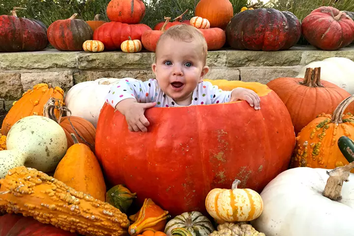 Multiple colored pumpkins with baby in a pumpkin pictures