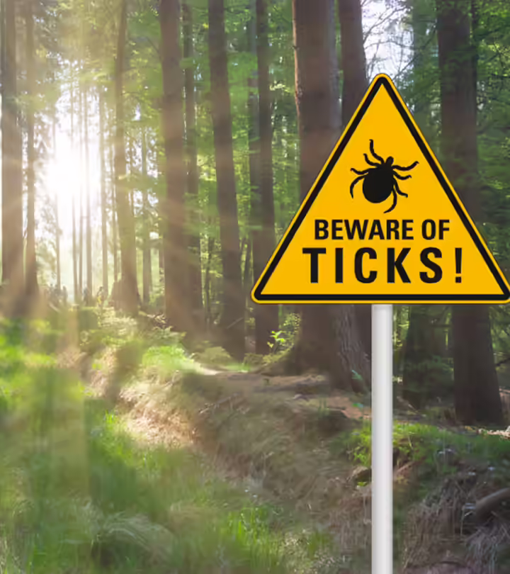 What Does A Tick Bite Look Like On A Child And How To Remove It