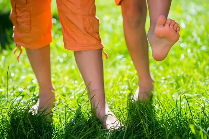 Bear hunt walk outdoor activities for babies