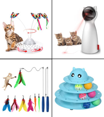 Your pet kitten will love these new toys!