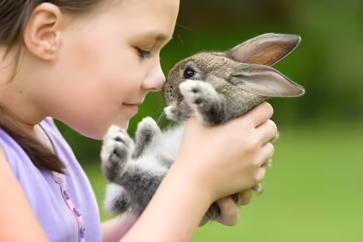 Instills A Sense Of Compassion And Empathy