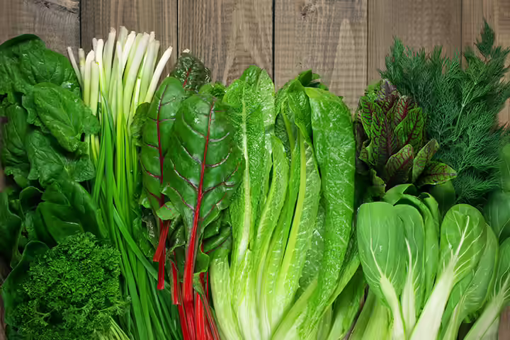 Leptin Rich Foods - Leafy Greens