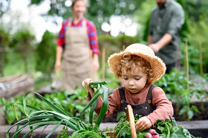 Making a fairy garden, outdoor activities for babies