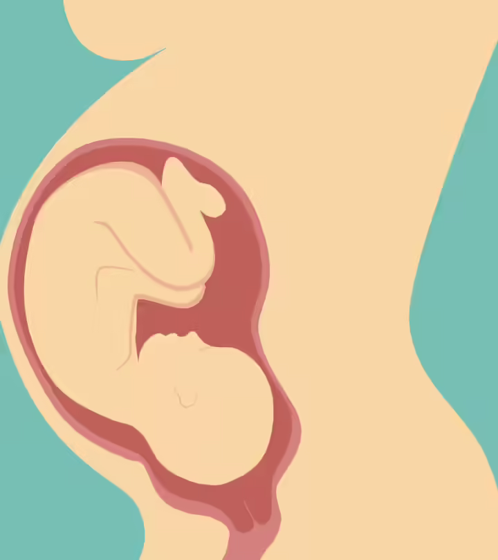 Normal Delivery After Cesarean Section In Hindi