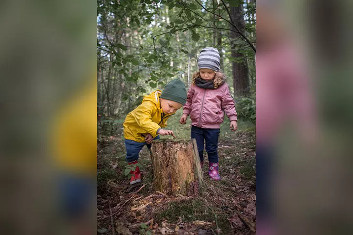 Scavenger hunt in nature, outdoor activities for babies