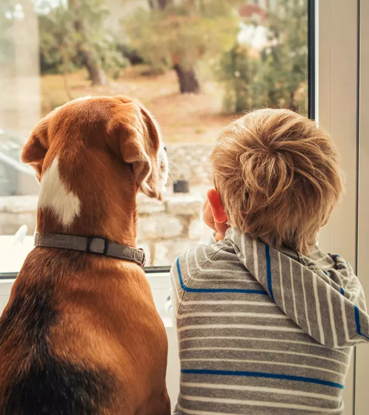 Should You Get A Pet? 8 Reasons Why Pets Are Good For Kids_image