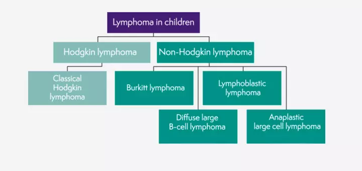 Types of lymphoma in children