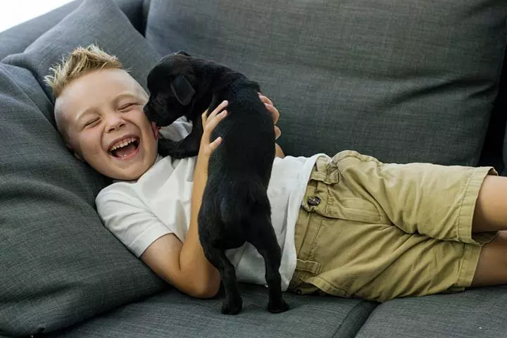 Should You Get A Pet 8 Reasons Why Pets Are Good For Kids