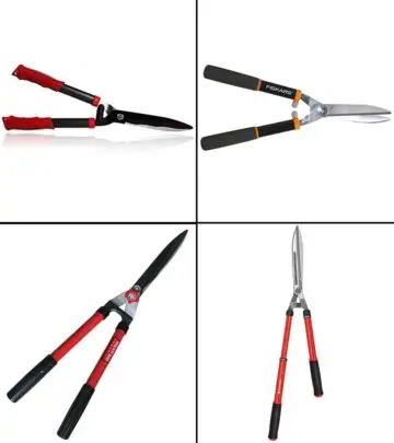 Prune, trim, and shape your hedges with these high-quality, sharp shears.