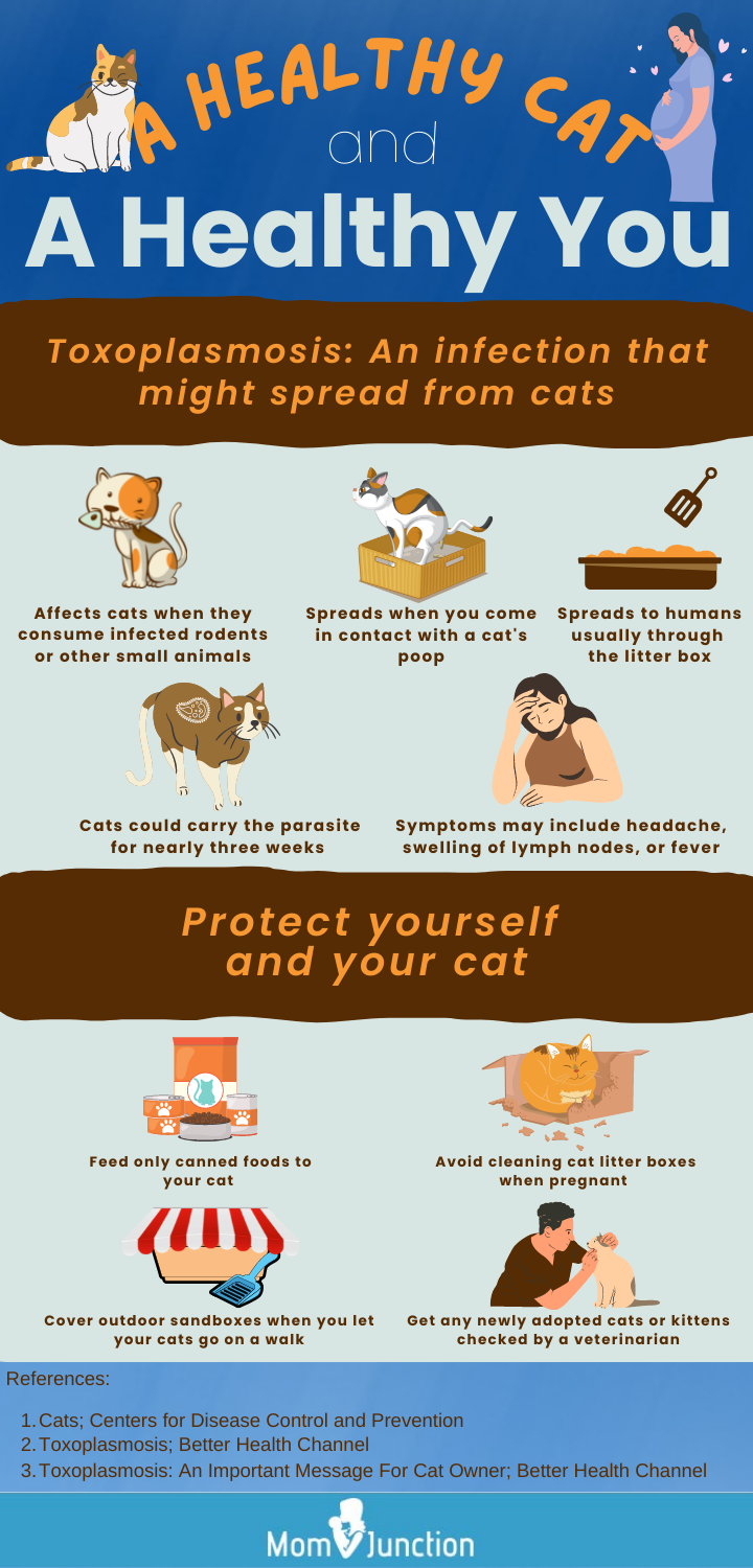 a healthy cat and a healthy you [infographic]