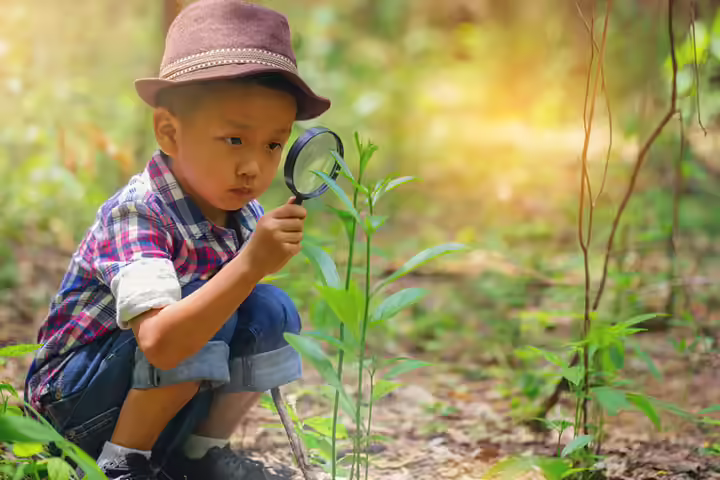 Backyard nature scavenger hunt for toddlers Backyard nature scavenger hunt for toddlers