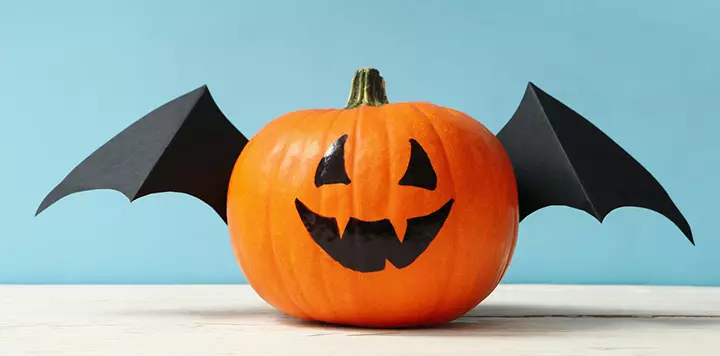 Bats on pumpkin, pumpkin painting idea for kids