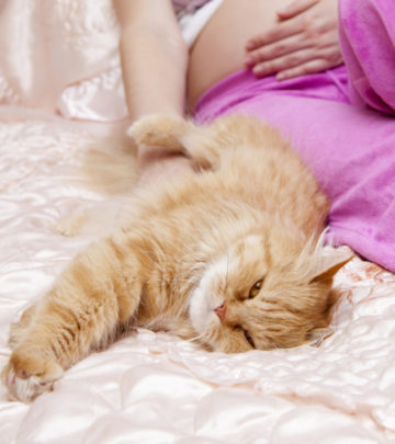 Do Cats Know When You Are Pregnant