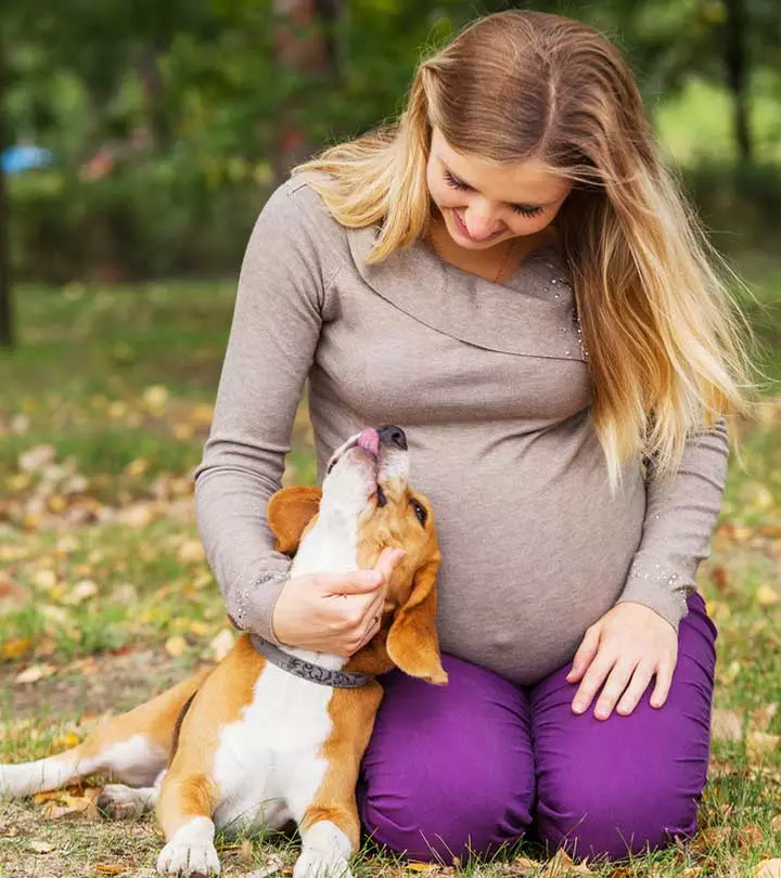 Do Dogs Know When You Are Pregnant