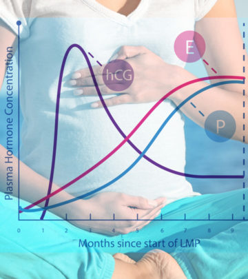 How Does Your Body Change During Pregnancy